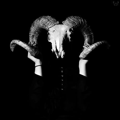Archillect ID 34299