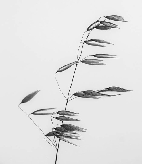 Archillect ID 34306