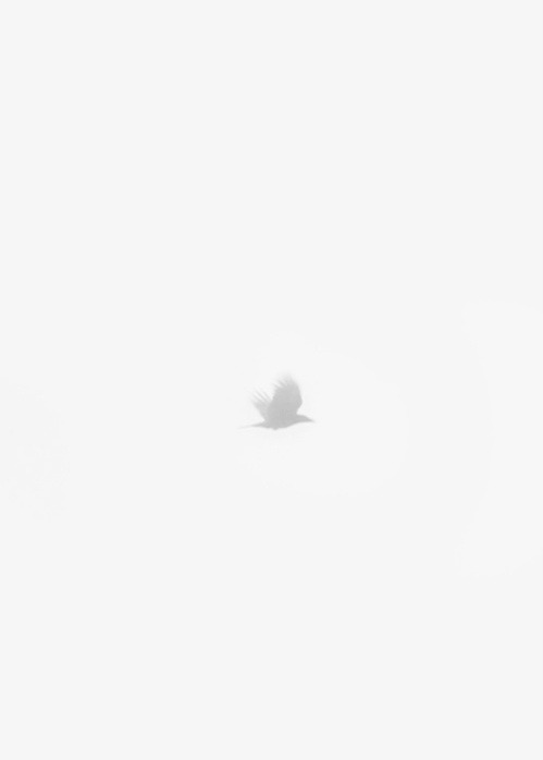 Archillect ID 34311