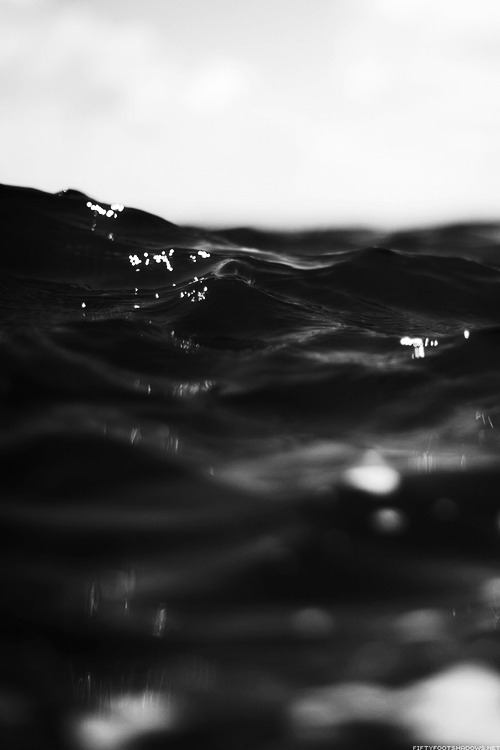 Archillect ID 34314
