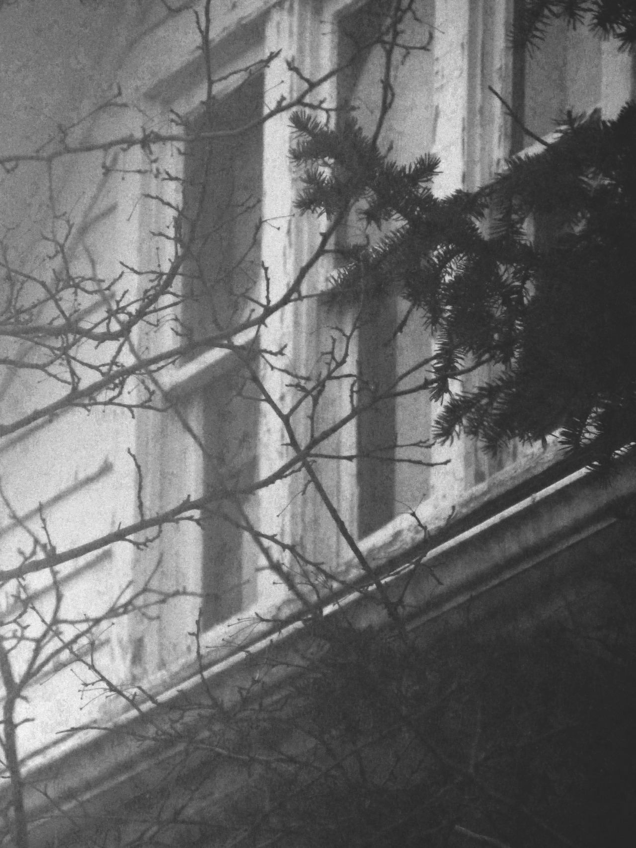 Archillect ID 34401
