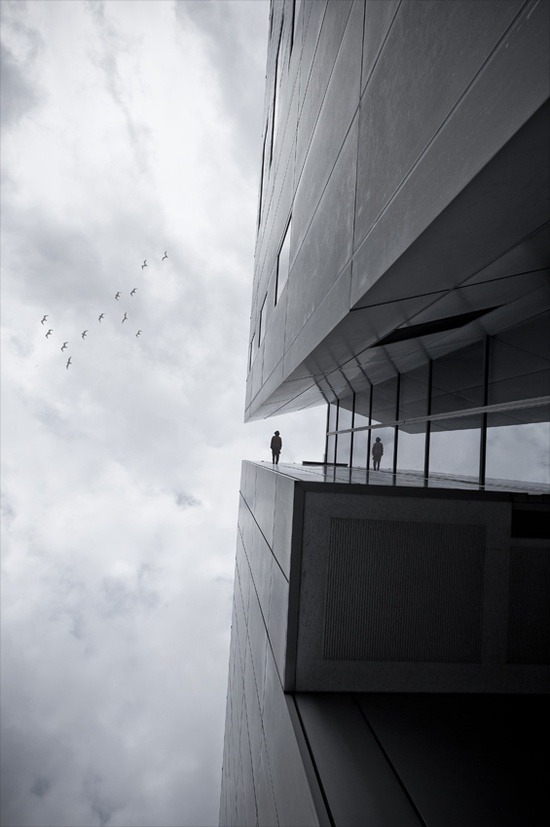 Archillect ID 34446