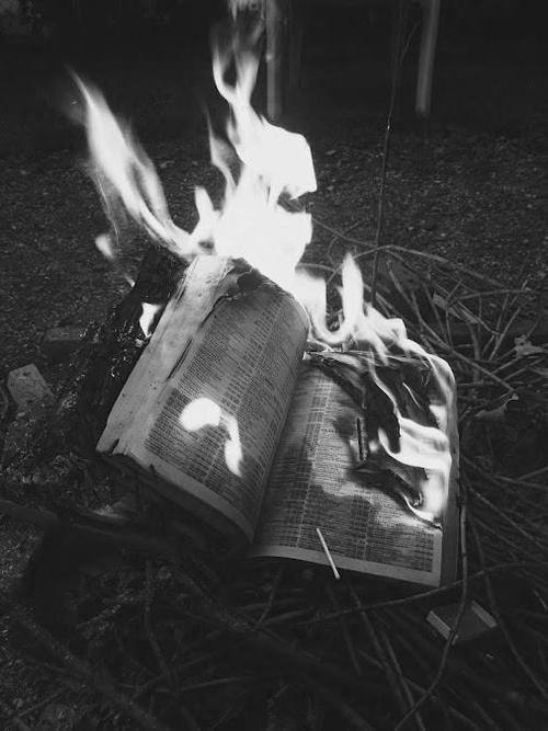 Archillect ID 34502