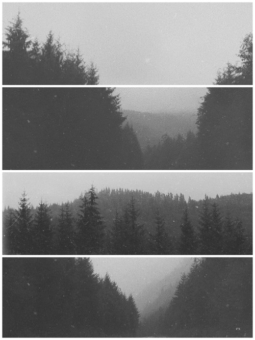 Archillect ID 34577