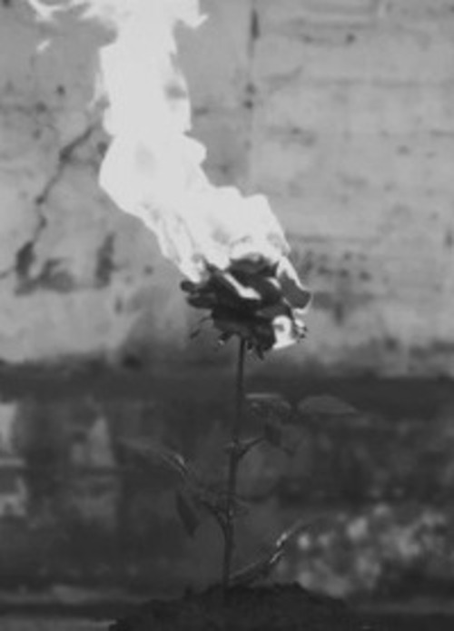 Archillect ID 34665