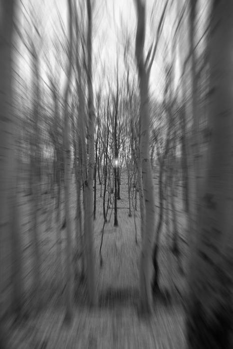 Archillect ID 34705