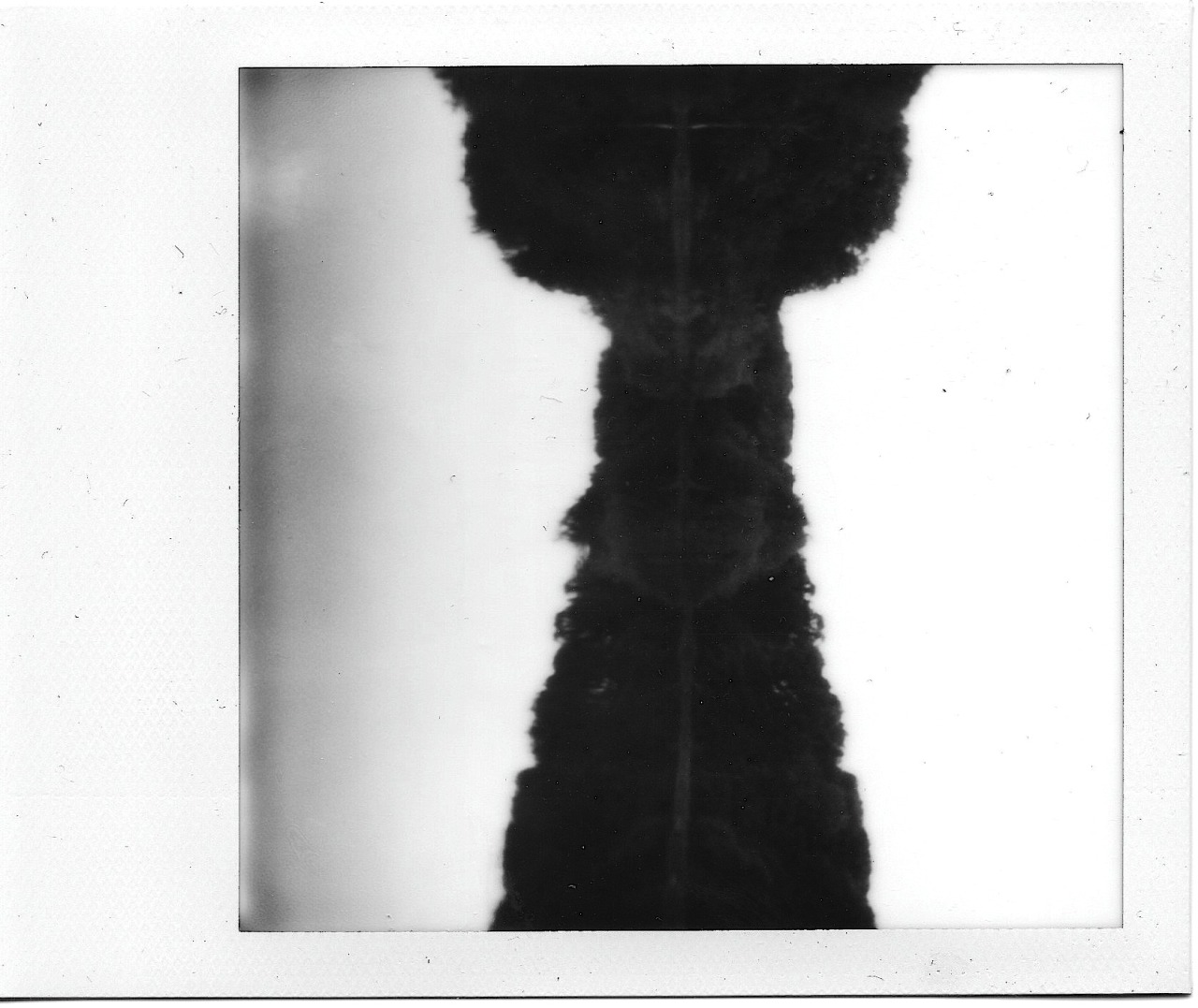 Archillect ID 34734