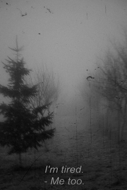 Archillect ID 34750