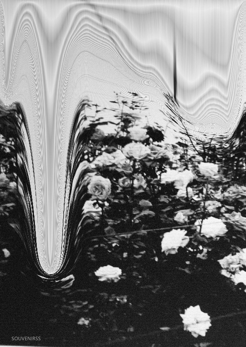 Archillect ID 34857