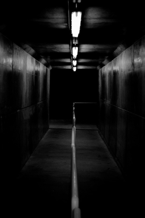 Archillect ID 34936