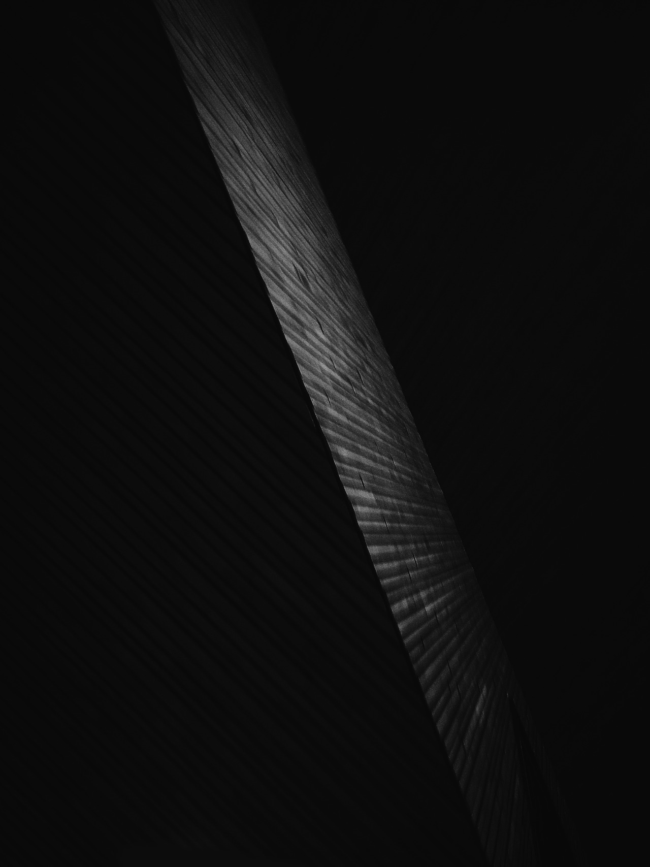 Archillect ID 34940