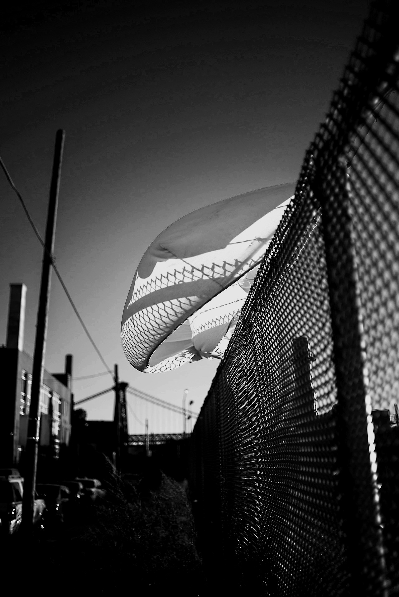 Archillect ID 34944