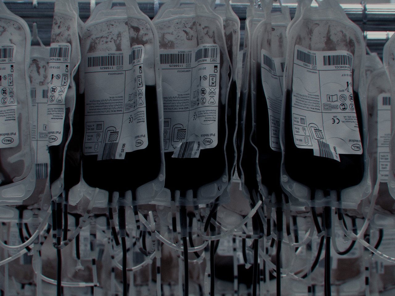 Archillect ID 34945