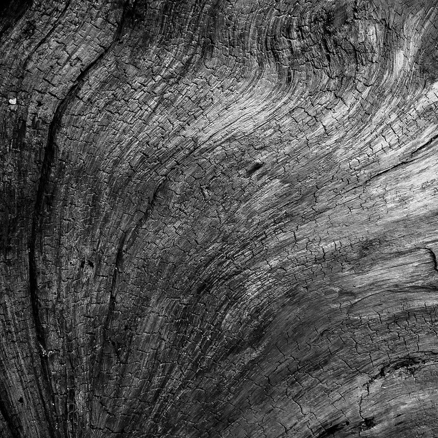 Archillect ID 34976
