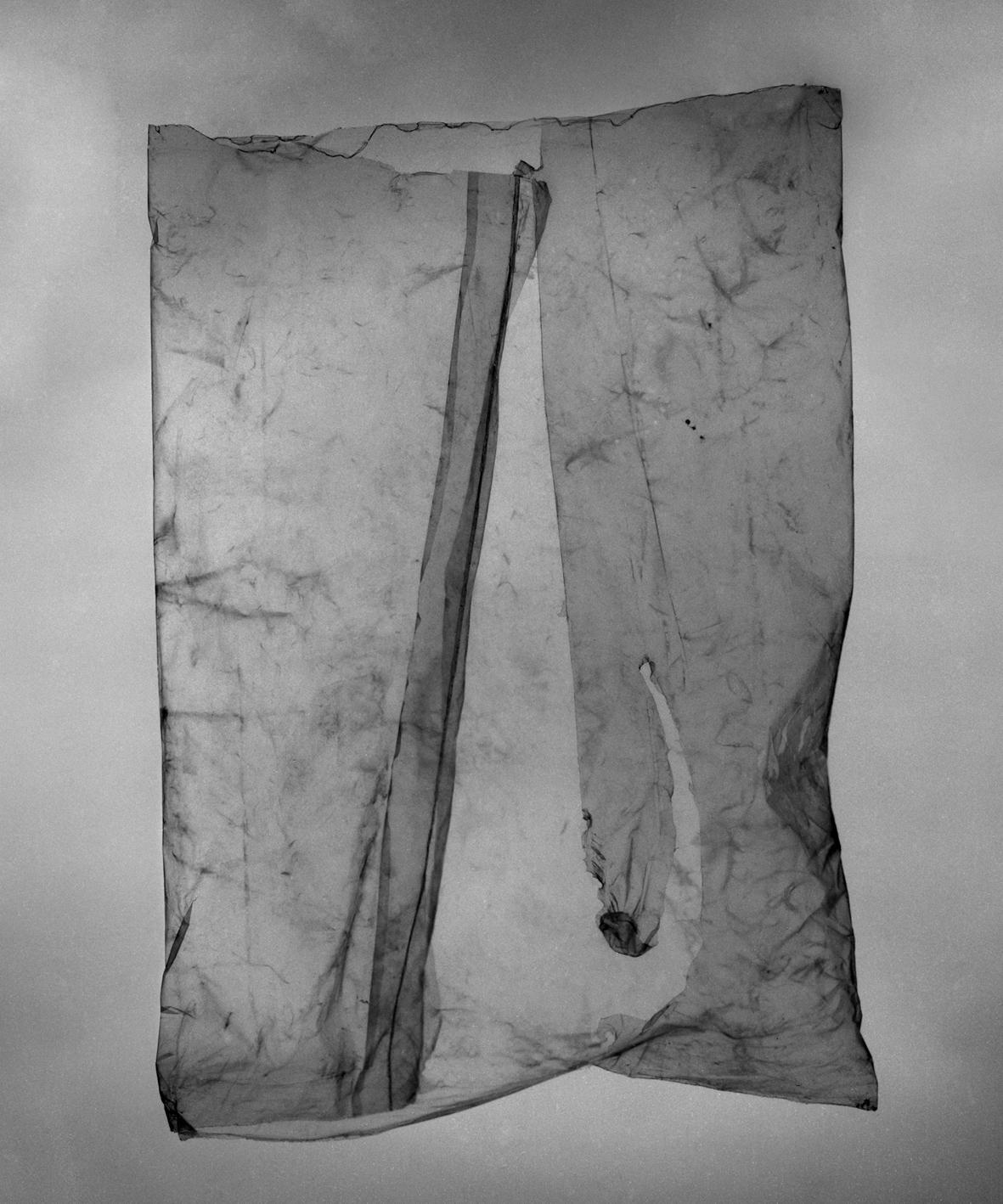 Archillect ID 35232