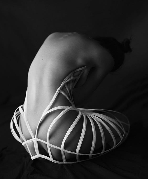 Archillect ID 35240