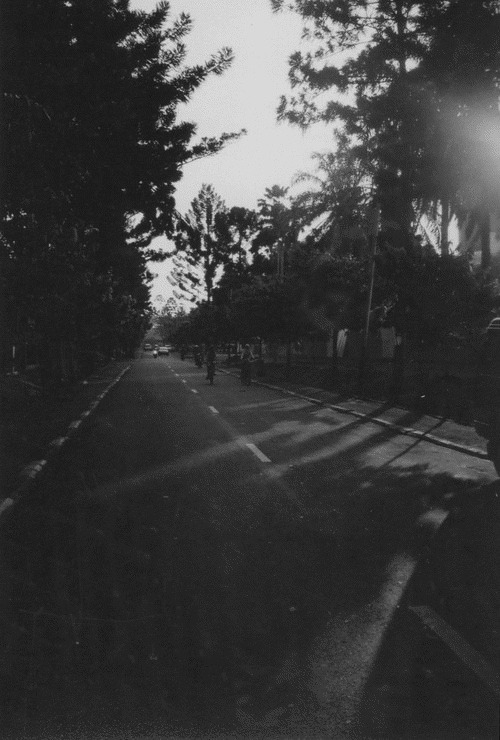 Archillect ID 35278