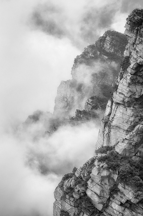 Archillect ID 35371