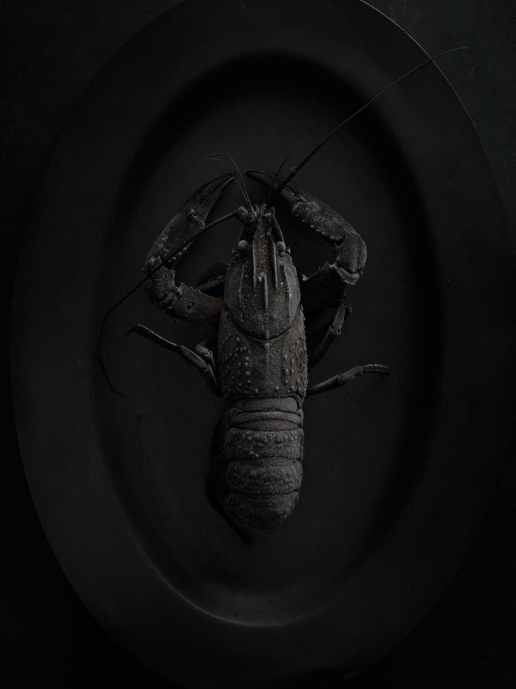 Archillect ID 35424