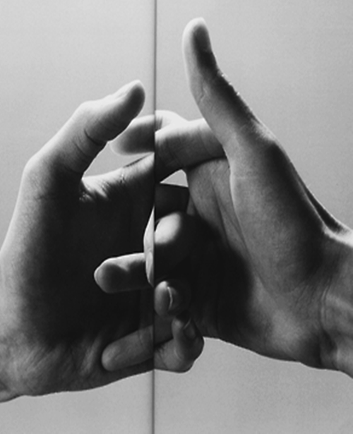 Archillect ID 35533