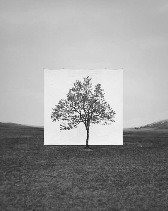 Archillect ID 35554