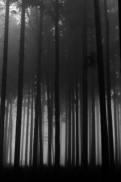 Archillect ID 35572