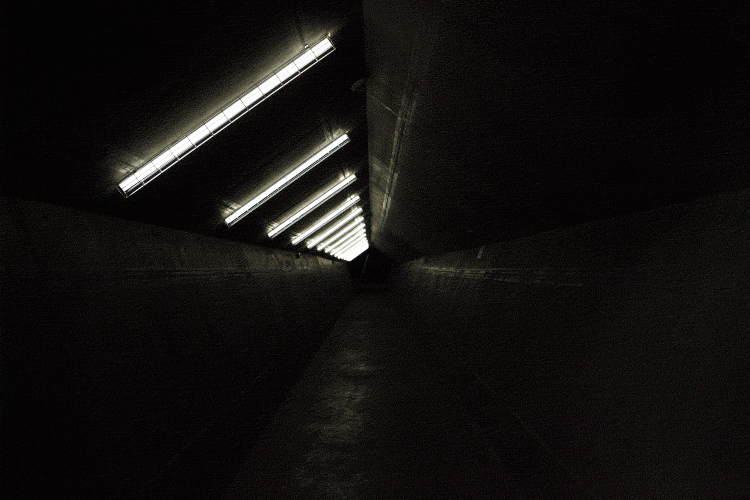 Archillect ID 35614