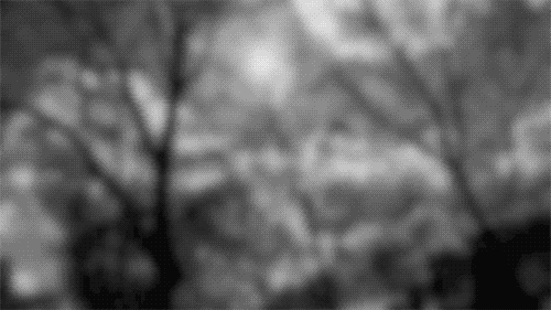 Archillect ID 35710
