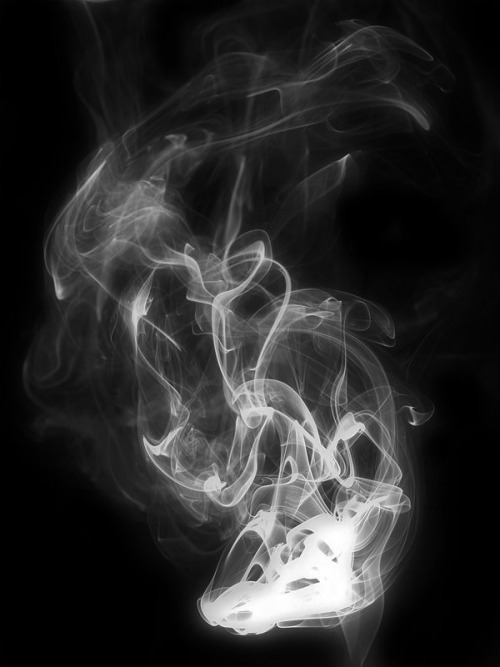 Archillect ID 35731