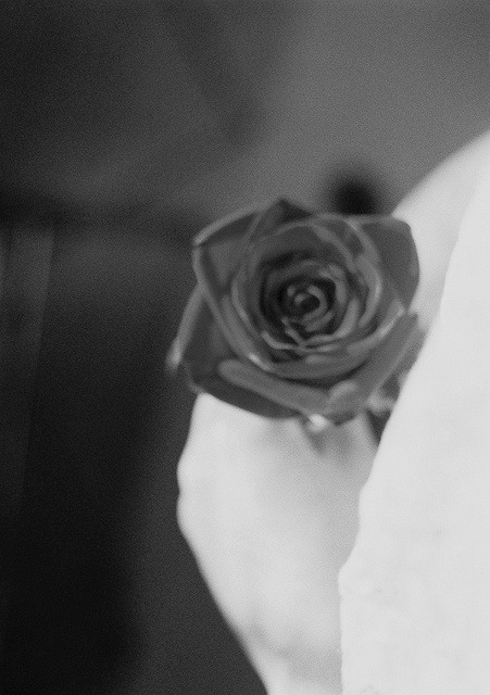 Archillect ID 35822