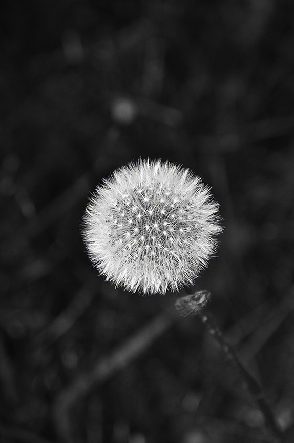 Archillect ID 35839