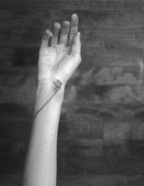 Archillect ID 35907