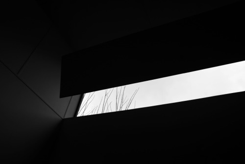 Archillect ID 35924