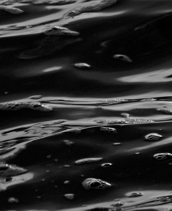 Archillect ID 36000