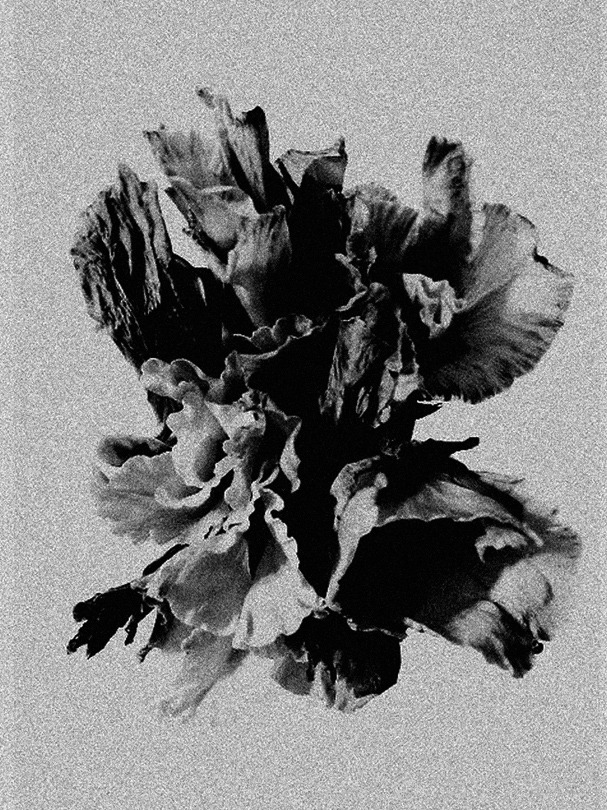 Archillect ID 36078