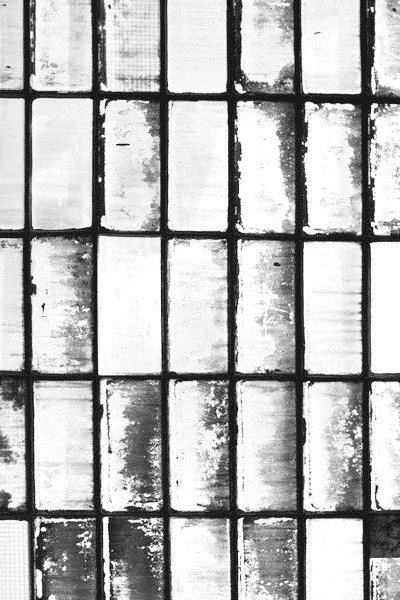 Archillect ID 36101