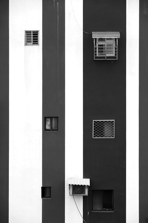 Archillect ID 36109