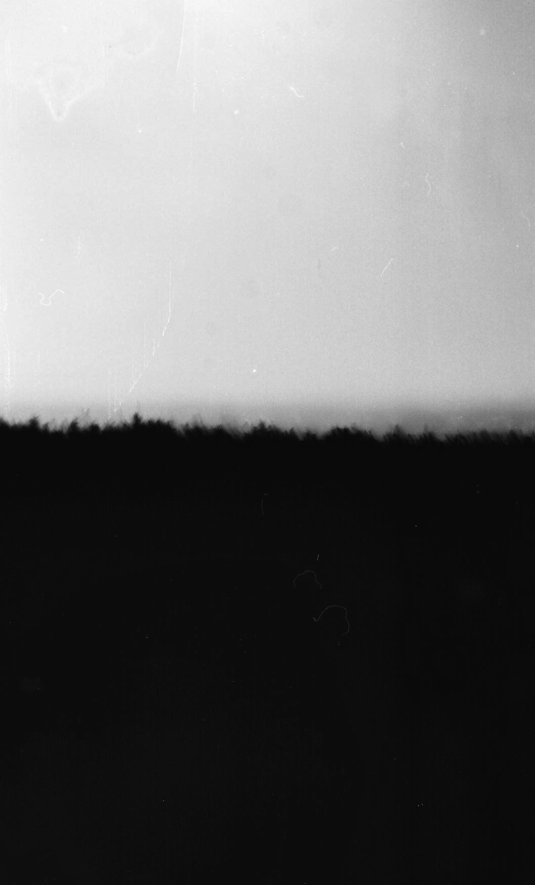 Archillect ID 36128