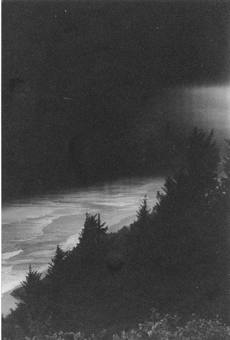 Archillect ID 36135