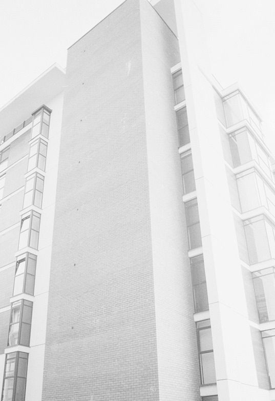 Archillect ID 36181