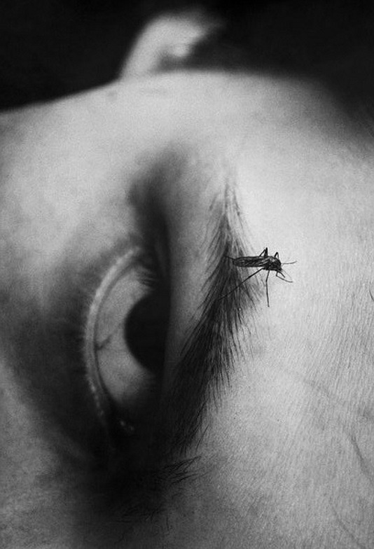 Archillect ID 36287