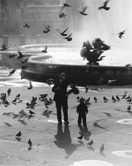 Archillect ID 36302