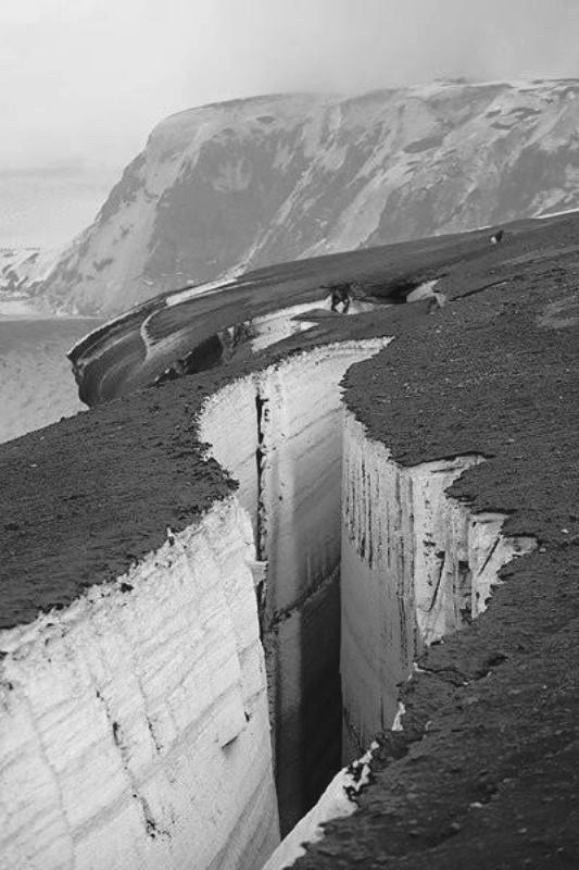 Archillect ID 36324