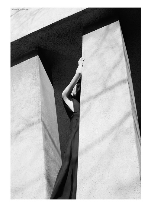 Archillect ID 36350