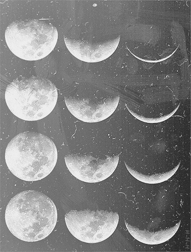 Archillect ID 36358