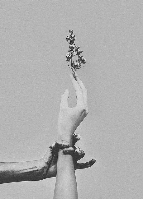 Archillect ID 36408