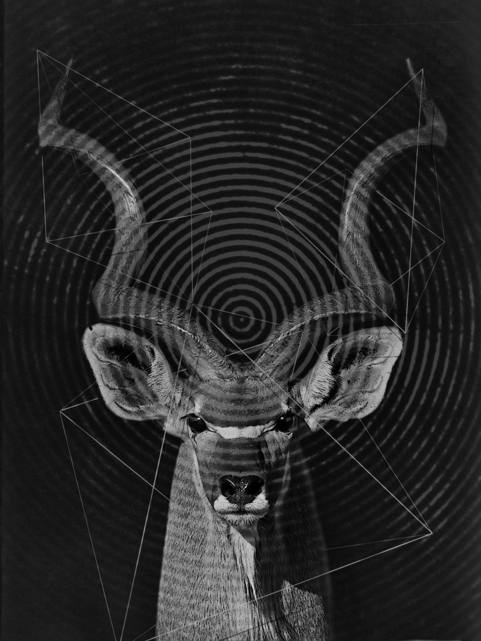 Archillect ID 36446