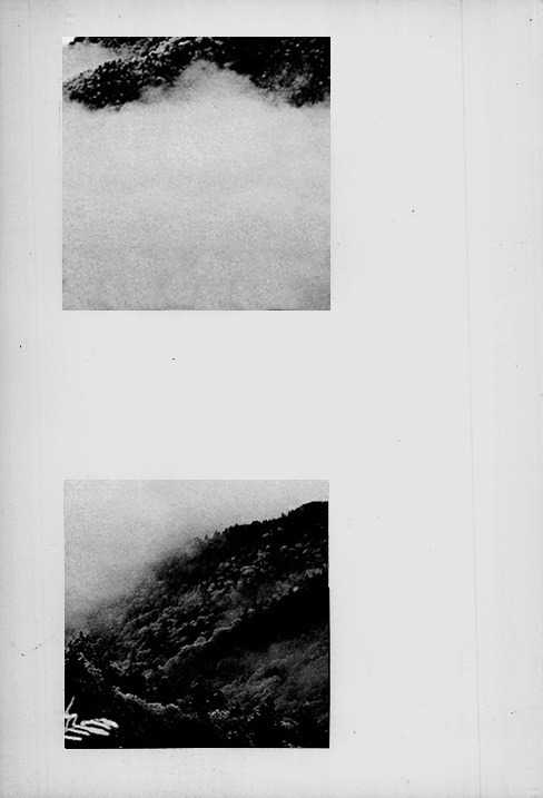 Archillect ID 36510