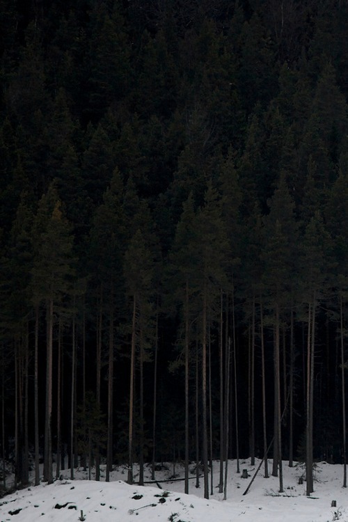 Archillect ID 36511