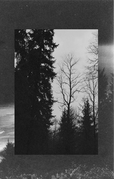 Archillect ID 36522